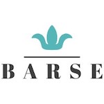 Barse Jewelry coupons