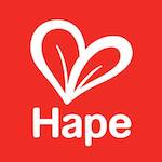 Hape coupons