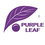 Purple Leaf coupons